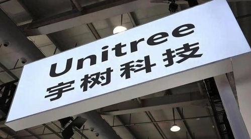 春晚常客的焦虑与野心 宇树科技的IPO前夜